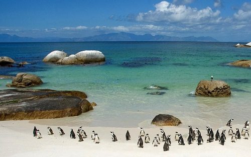 آفریقای جنوبی دنیای شگفت انگیز در یک کشور !