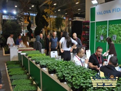 فرصتی برای صادرات محصولات گل و گیاه ترکیه