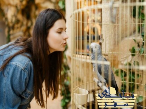 نمایشگاه حیوانات خانگی دبی برای پرندگان