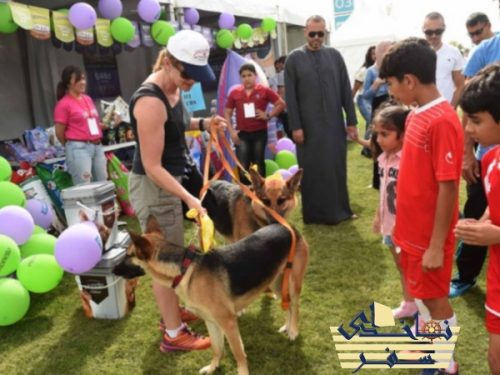نمایشگاه حیوانات خانگی دبی برای سگ ها
